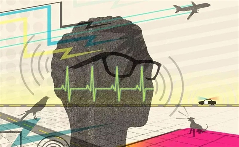 悲劇,聲學處理不好,噪音引發(fā)血案 悲劇,聲學處理不好,噪音引發(fā)血案